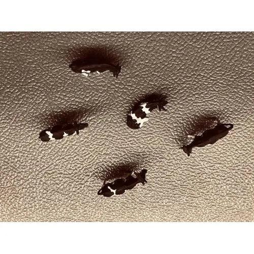 Cows for your HO scale farm (5 Count) - (USED)-DiecastModeler.com